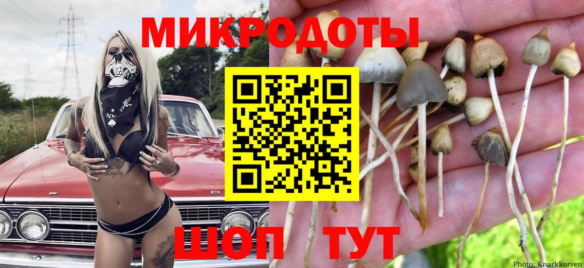 Светлоград  Галлюциногенные грибы прущие грибы  Псилоцибиновые грибы мухоморы  купить наркоту  Вход с VPN 