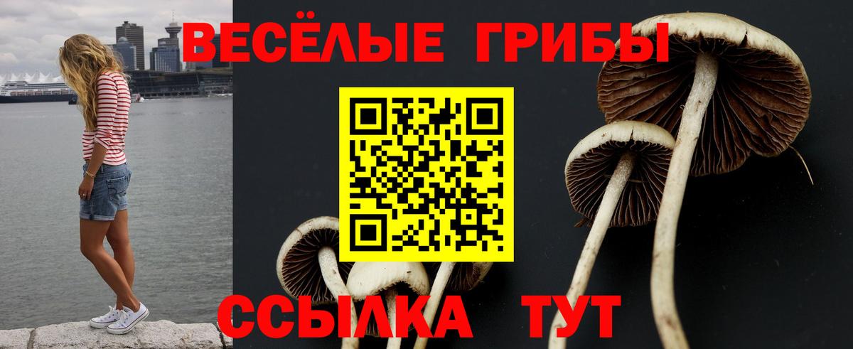Псилоцибиновые грибы ЛСД Светлоград